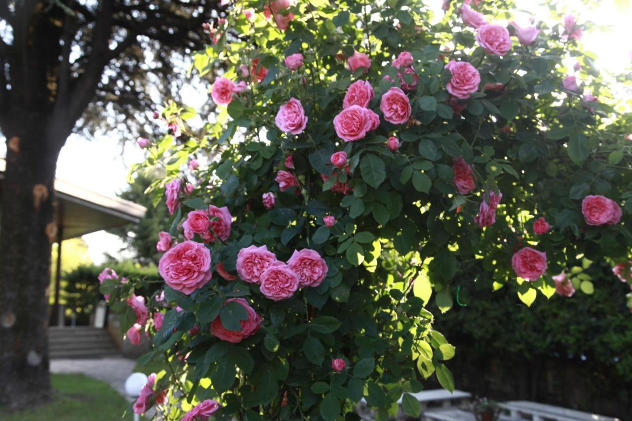 Acquachiara Iseo Deluxe Bed & Breakfast Iseo Center With Garden And Parking Inside Foresteria Екстериор снимка