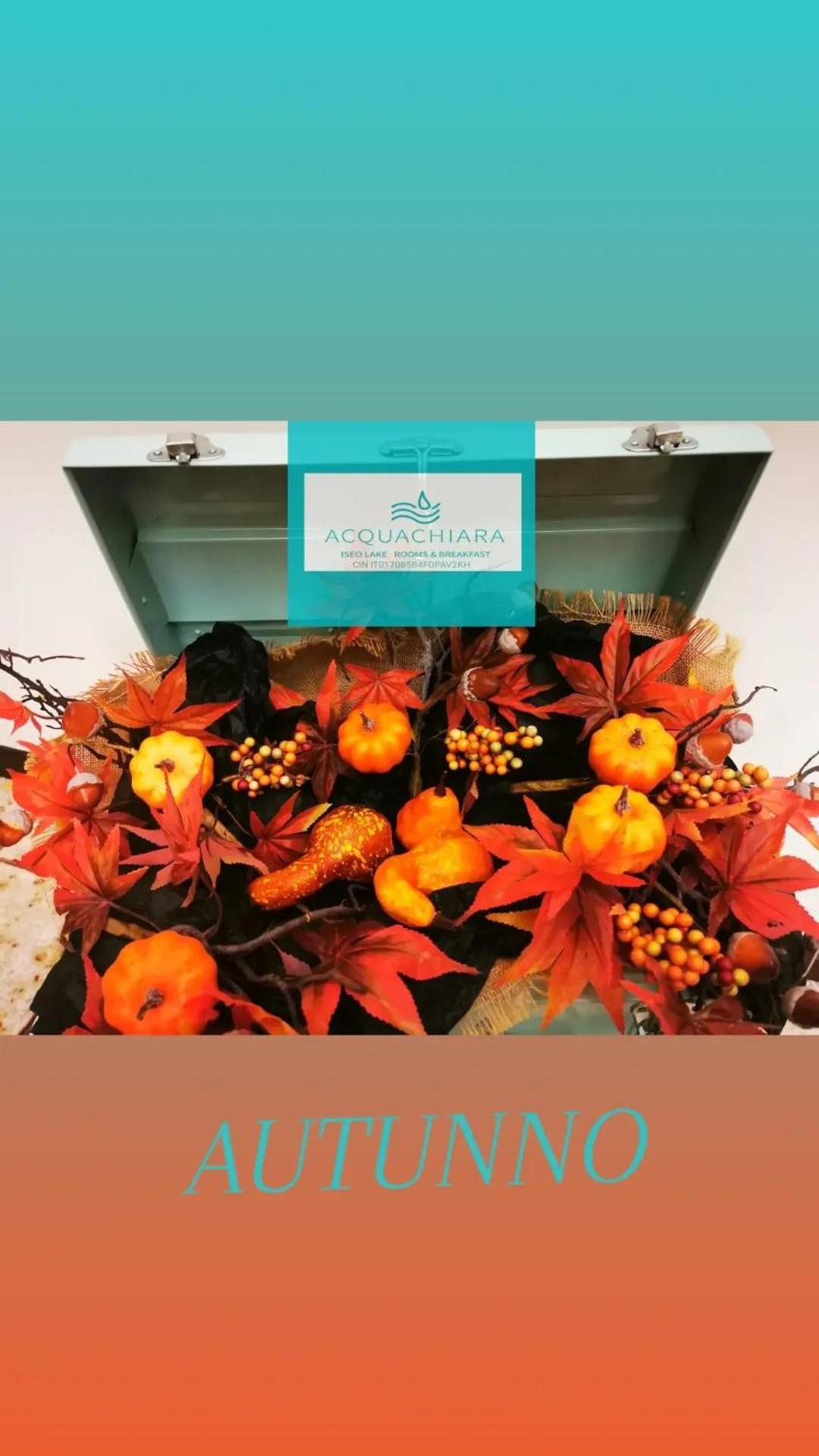 Acquachiara Iseo Deluxe Bed & Breakfast Iseo Center With Garden And Parking Inside Foresteria Екстериор снимка